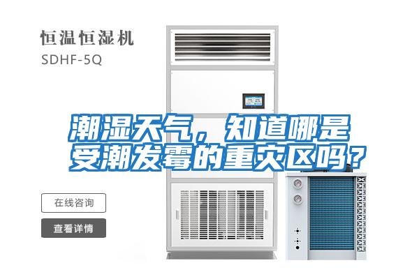 潮湿天气，知道哪是受潮发霉的重灾区吗？