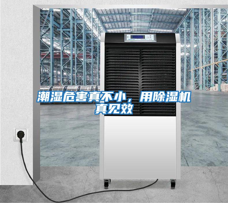 潮湿危害真不小，用除湿机真见效