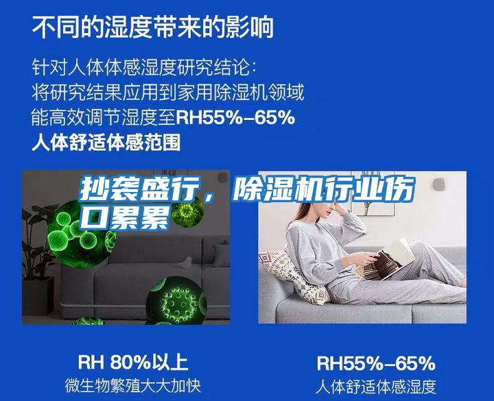 抄袭盛行，除湿机行业伤口累累