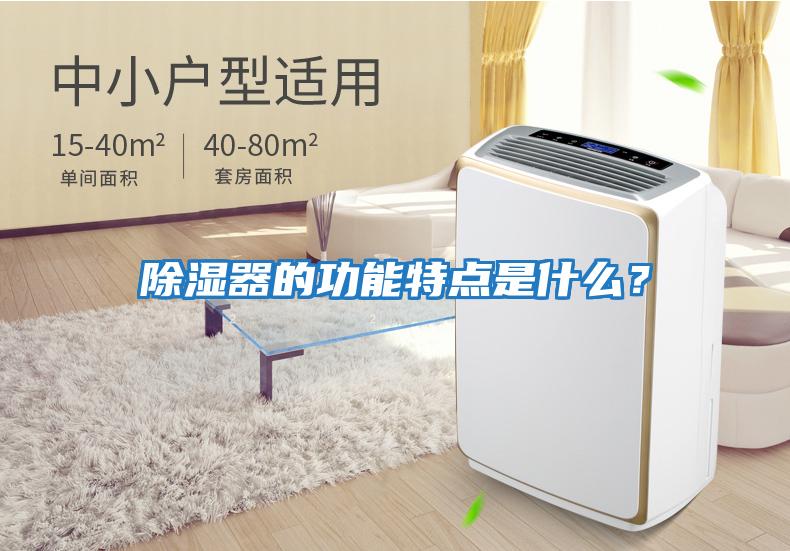 除湿器的功能特点是什么？