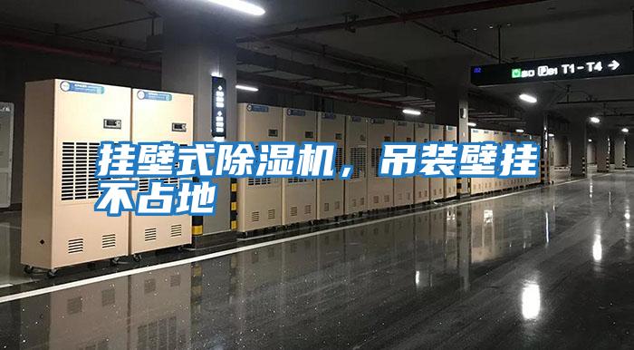 挂壁式除湿机，吊装壁挂不占地