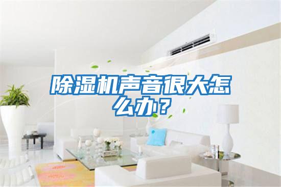 除湿机声音很大怎么办?