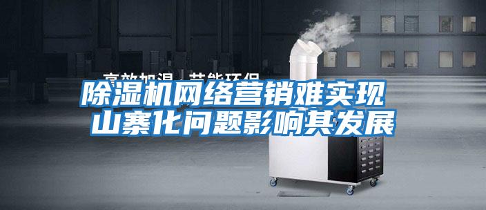 除湿机网络营销难实现 山寨化问题影响其发展