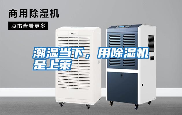 潮湿当下，用除湿机是上策