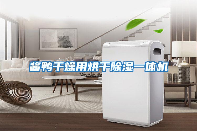 酱鸭干燥用烘干除湿一体机