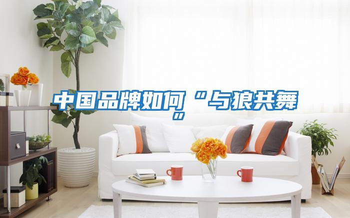 中国品牌如何“与狼共舞”