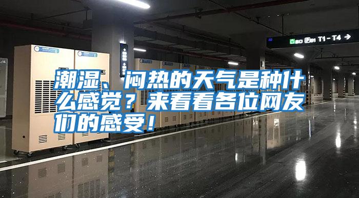 潮湿、闷热的天气是种什么感觉？来看看各位网友们的感受！