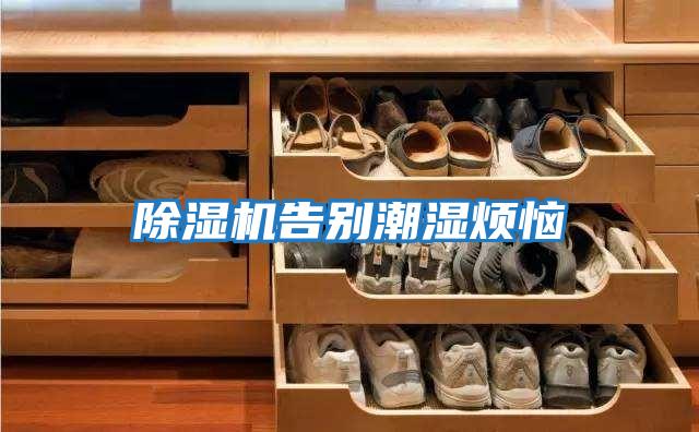 除湿机告别潮湿烦恼