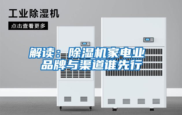 解读：除湿机家电业 品牌与渠道谁先行
