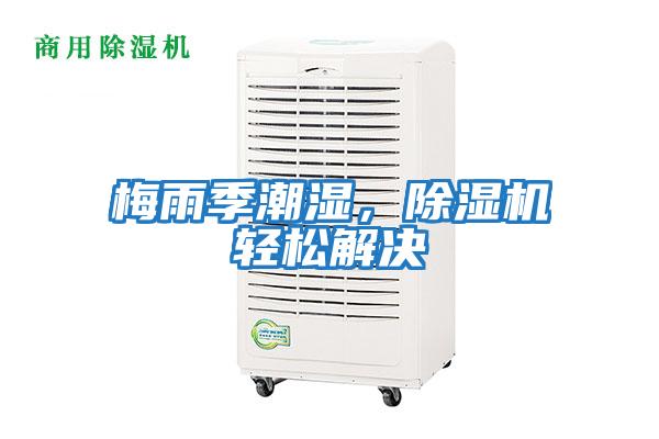 梅雨季潮湿，除湿机轻松解决