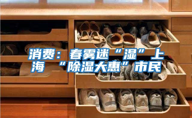 消费：春雾迷“湿”上海 “除湿大惠”市民