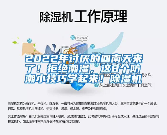 2022年讨厌的回南天来了！拒绝潮湿，这8个防潮小技巧学起来！除湿机