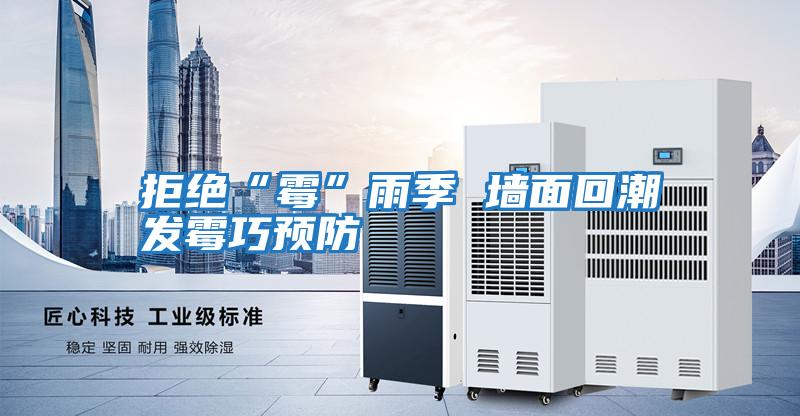拒绝“霉”雨季 墙面回潮发霉巧预防
