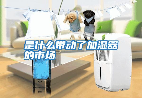 是什么带动了加湿器的市场