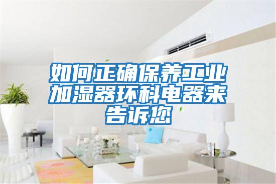 如何正确保养工业加湿器环科电器来告诉您