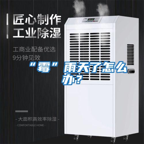 “霉”雨天了怎么办？