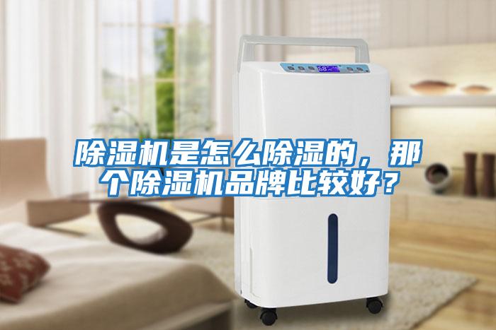 除湿机是怎么除湿的，那个除湿机品牌比较好？