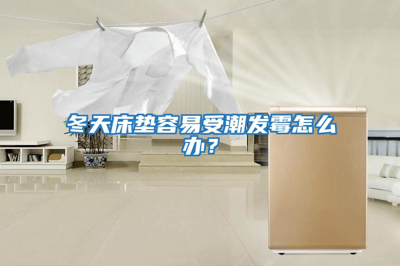 冬天床垫容易受潮发霉怎么办？
