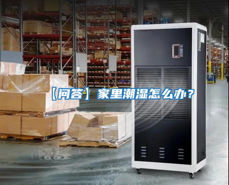 【问答】家里潮湿怎么办？