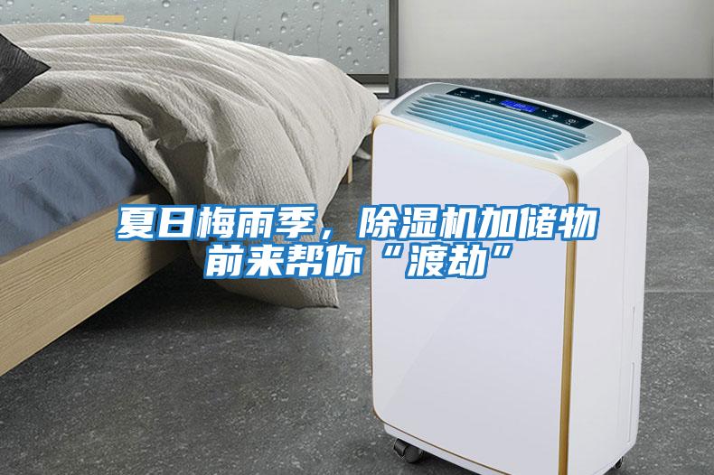 夏日梅雨季，除湿机加储物前来帮你“渡劫”