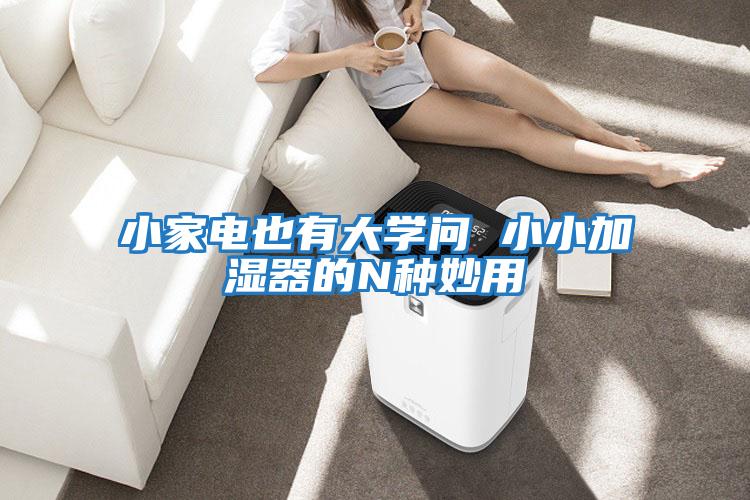 小家电也有大学问 小小加湿器的N种妙用