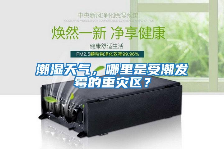 潮湿天气，哪里是受潮发霉的重灾区？