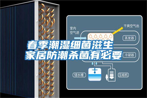 春季潮湿细菌滋生 家居防潮杀菌有必要