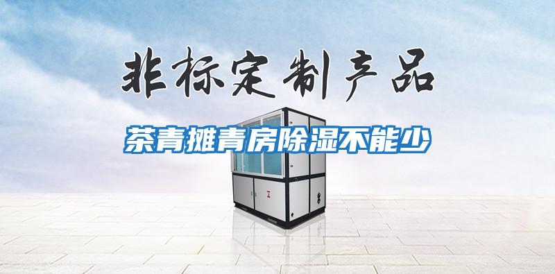 茶青摊青房除湿不能少