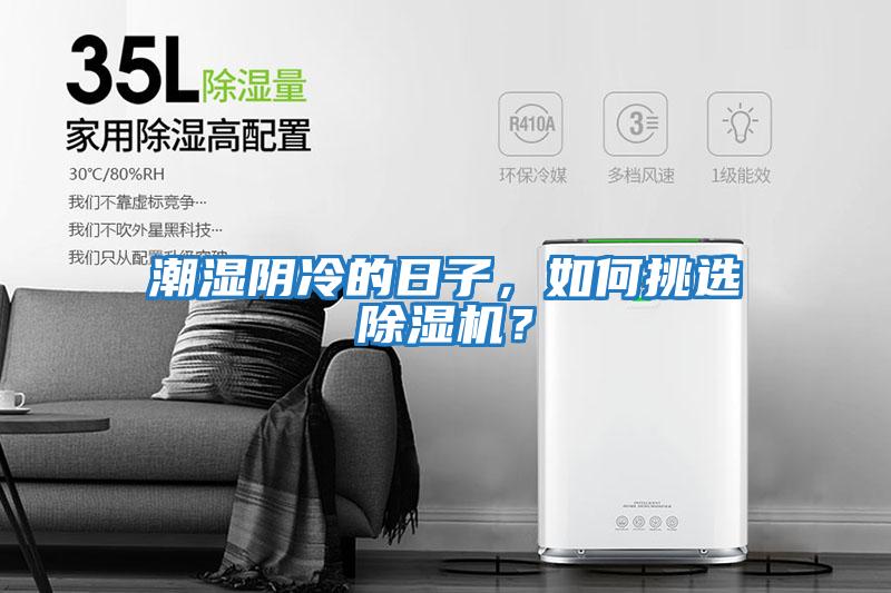 潮湿阴冷的日子，如何挑选除湿机？