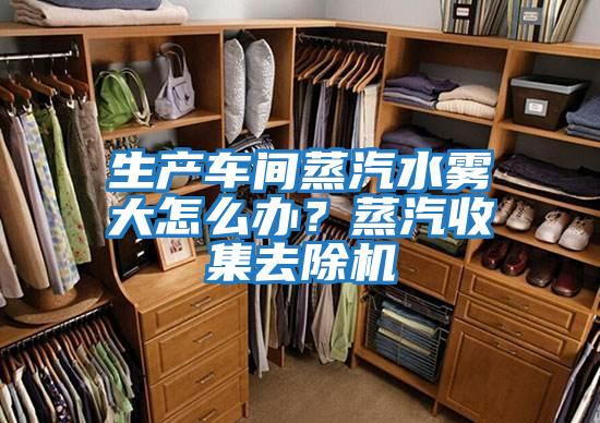 生产车间蒸汽水雾大怎么办？蒸汽收集去除机