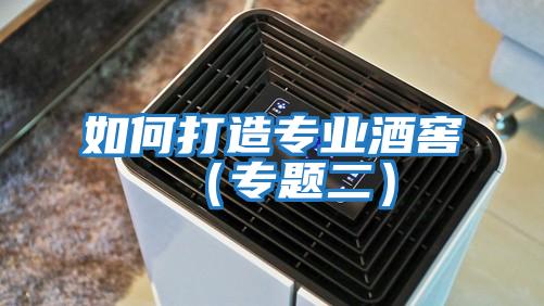 如何打造专业酒窖（专题二）