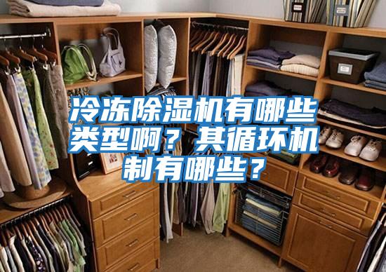 冷冻除湿机有哪些类型啊？其循环机制有哪些？