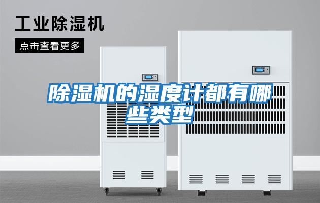 除湿机的湿度计都有哪些类型