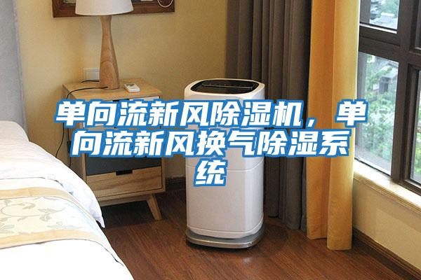 单向流新风除湿机，单向流新风换气除湿系统