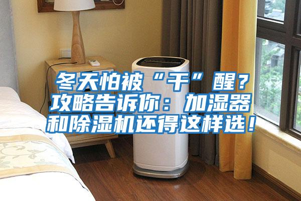 冬天怕被“干”醒？攻略告诉你：加湿器和除湿机还得这样选！