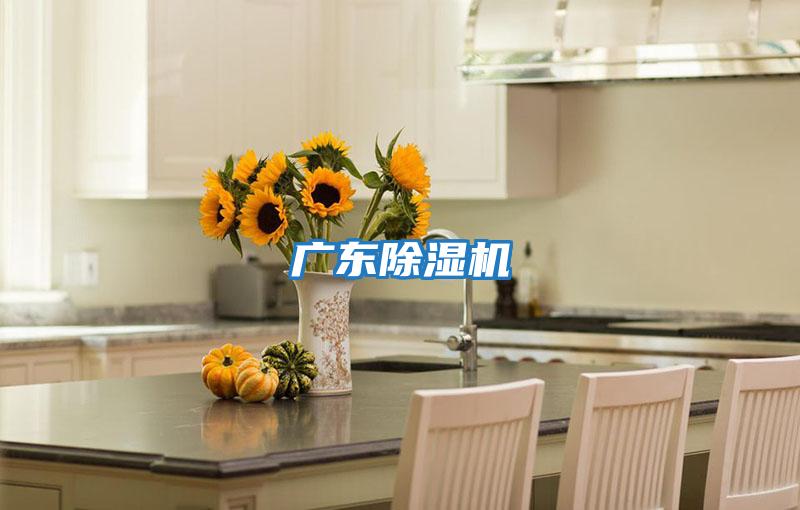 广东除湿机