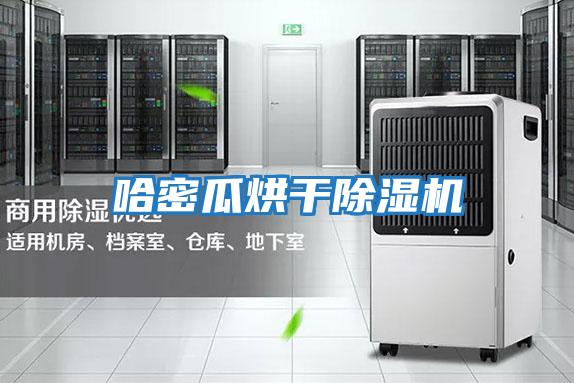 哈密瓜烘干除湿机