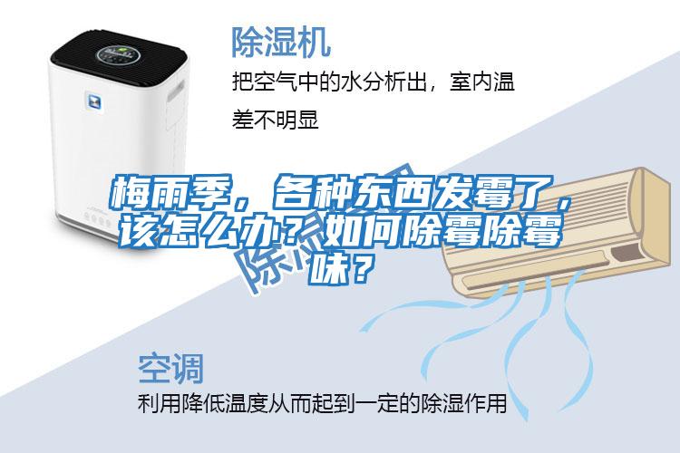 梅雨季，各种东西发霉了，该怎么办？如何除霉除霉味？
