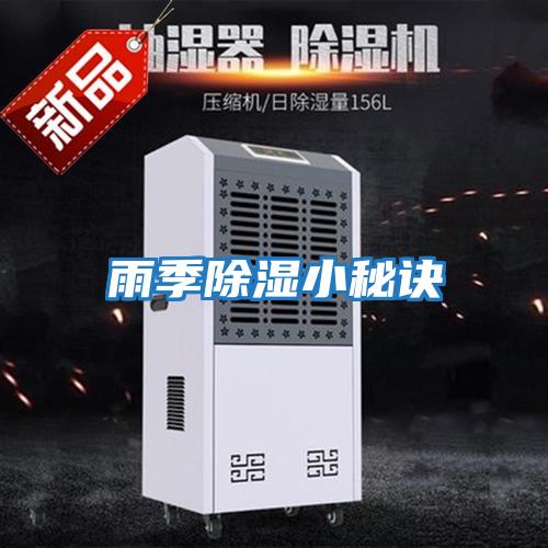 雨季除湿小秘诀