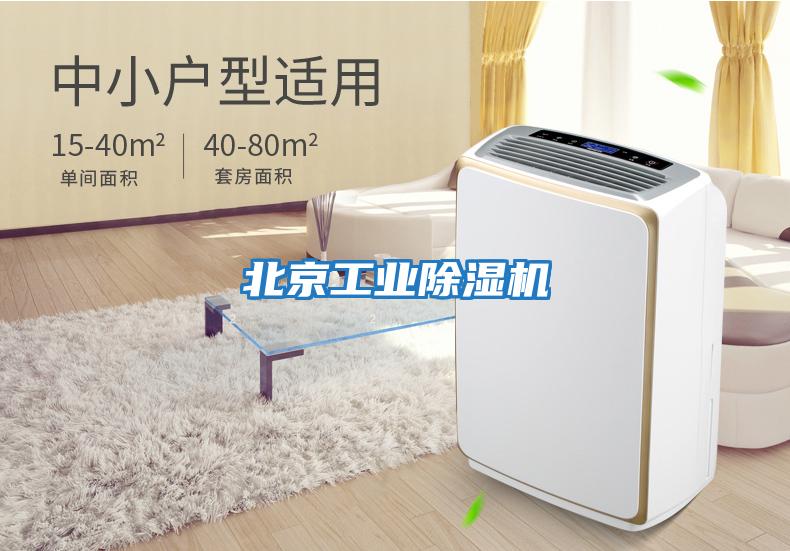 北京工业除湿机