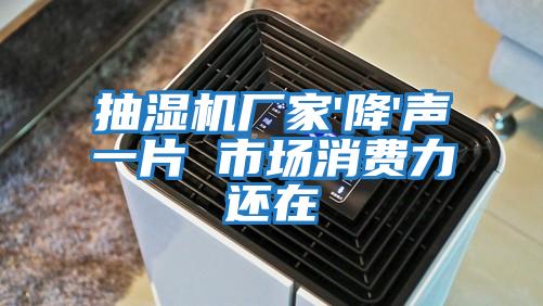 抽湿机厂家'降'声一片 市场消费力还在