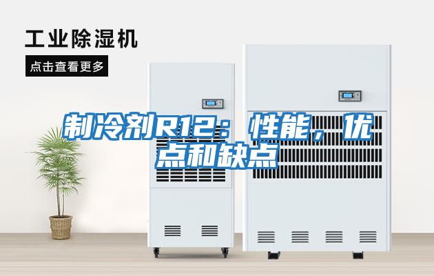 制冷剂R12：性能，优点和缺点