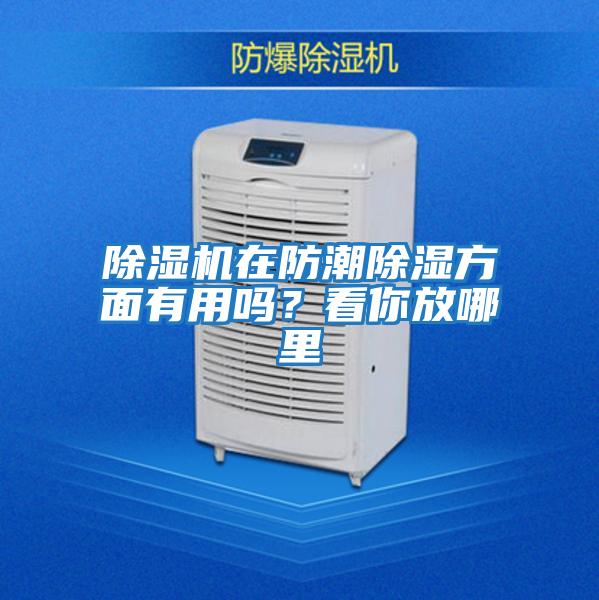 除湿机在防潮除湿方面有用吗？看你放哪里