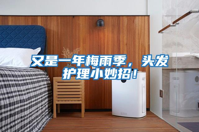 又是一年梅雨季,头发护理小妙招!