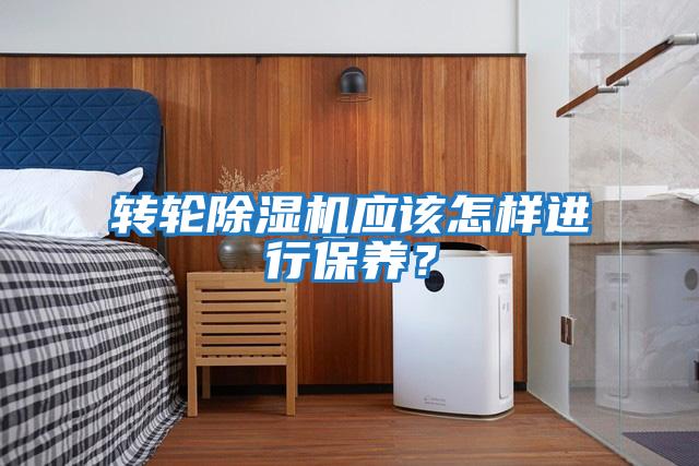 转轮除湿机应该怎样进行保养?