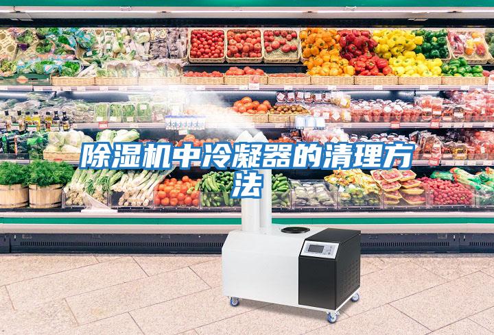 除湿机中冷凝器的清理方法