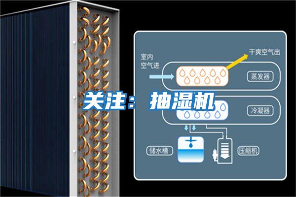 关注：抽湿机