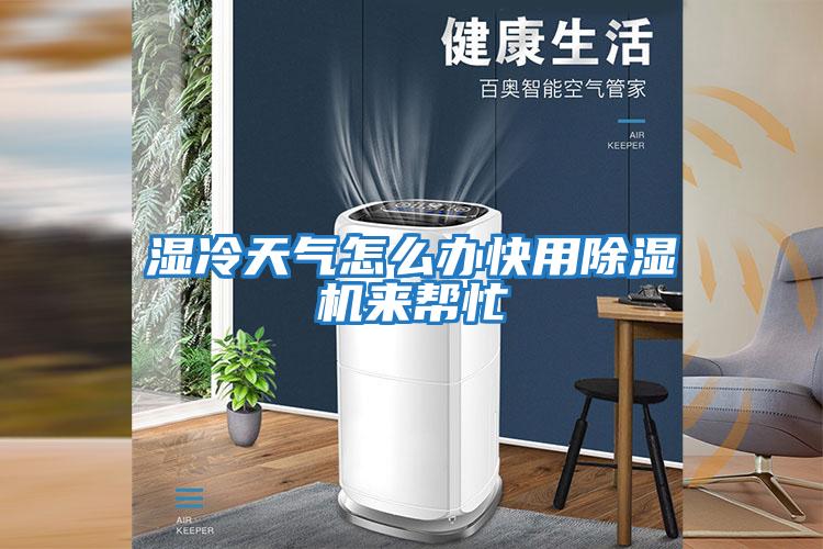 湿冷天气怎么办快用除湿机来帮忙