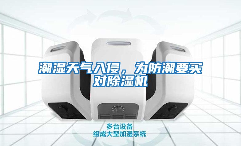 潮湿天气入侵，为防潮要买对除湿机