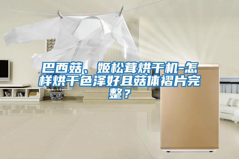 巴西菇、姬松茸烘干机-怎样烘干色泽好且菇体褶片完整？